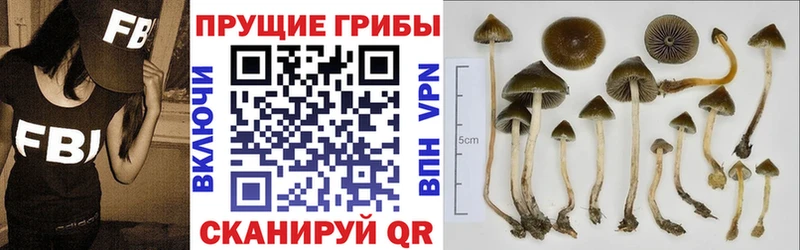 Псилоцибиновые грибы MAGIC MUSHROOMS  KRAKEN tor  Кизилюрт 